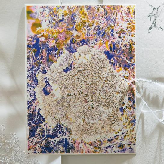 Nadine Lahoz-Quilez / Résidence à Aponia / Le RisoLab d'Aponia / Risographie